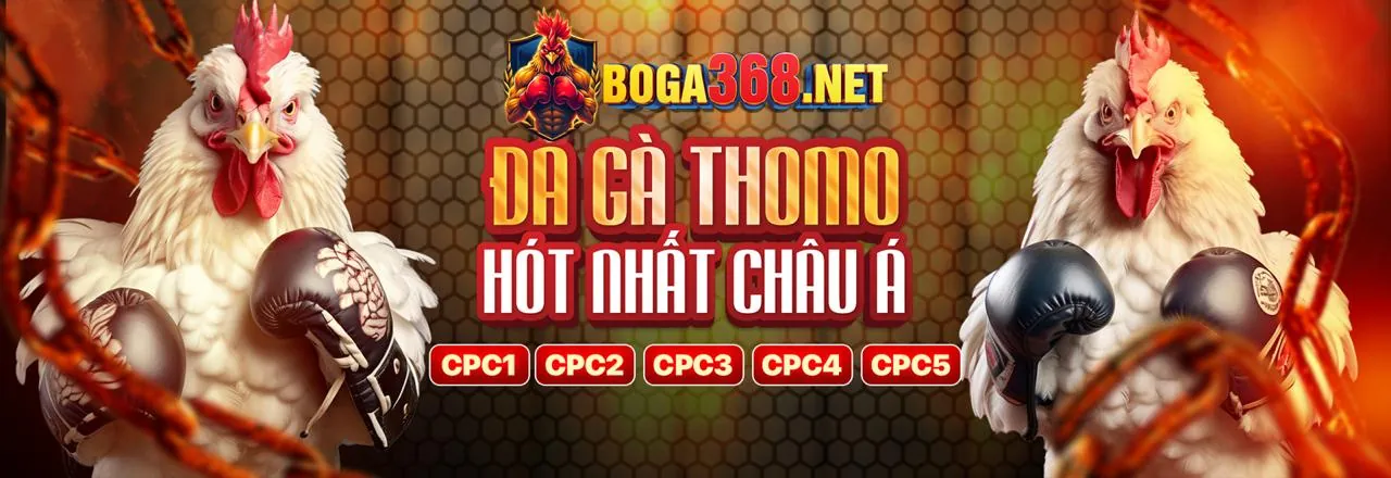 Hình ảnh đại diện cho chính sách Trách nhiệm cờ bạc của ae3888